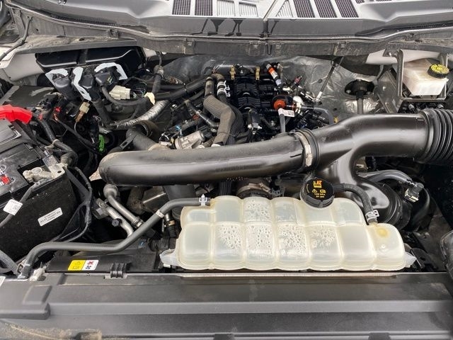 Ford F-150 XLT SuperCrew 4WD 2024