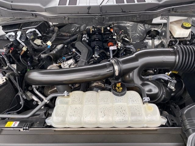 Ford F-150 XLT SuperCrew 4WD 2024