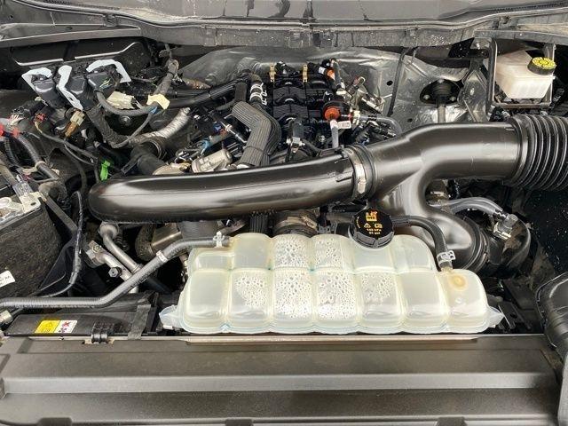 Ford F-150 XLT SuperCrew 4WD 2024