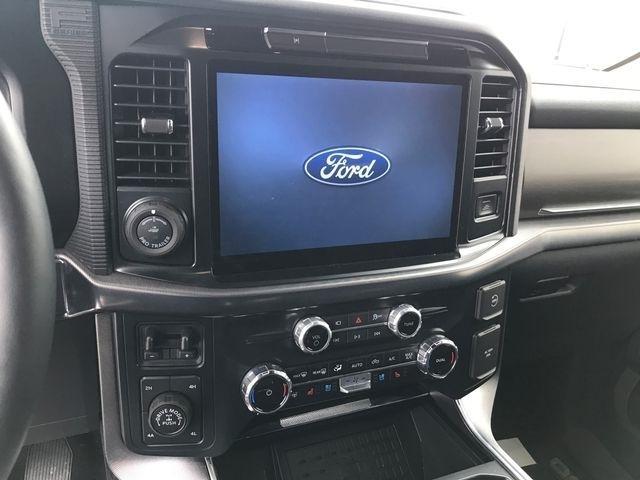 Ford F-150 Platinum SuperCrew 4WD 2025