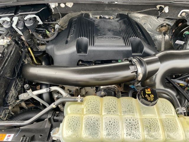 Ford Expedition XLT 4WD 2020