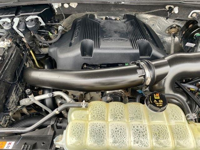 Ford Expedition XLT 4WD 2020