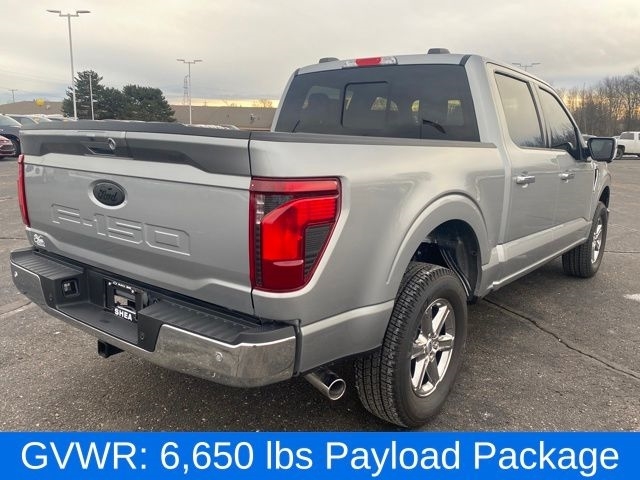 Ford F-150 XLT SuperCrew 4WD 2024