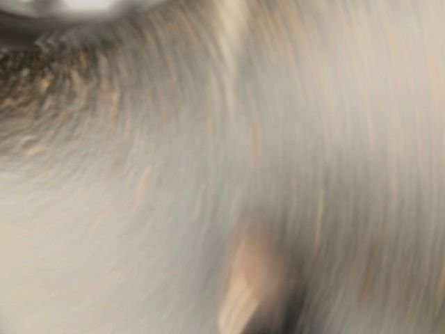 Honda Accord EX 2024