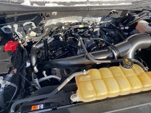 Ford F-150 XLT SuperCrew 6.5-ft. Bed 4WD 2020