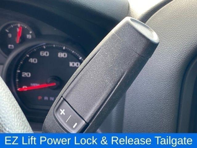 Chevrolet Silverado 1500 Custom Trail Boss Double Cab 4WD 2019