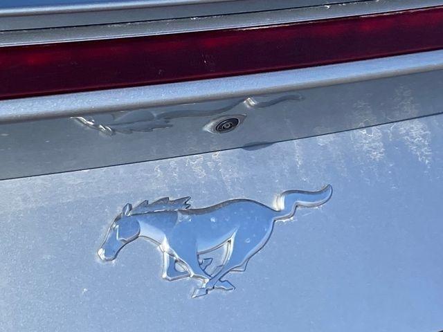 Ford Mustang EcoBoost Premium Convertible 2024