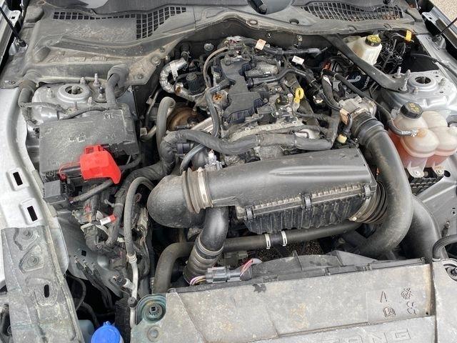 Ford Mustang EcoBoost Premium Convertible 2024