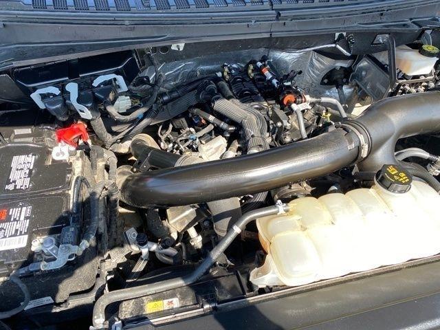 Ford Expedition Limited 4WD 2024