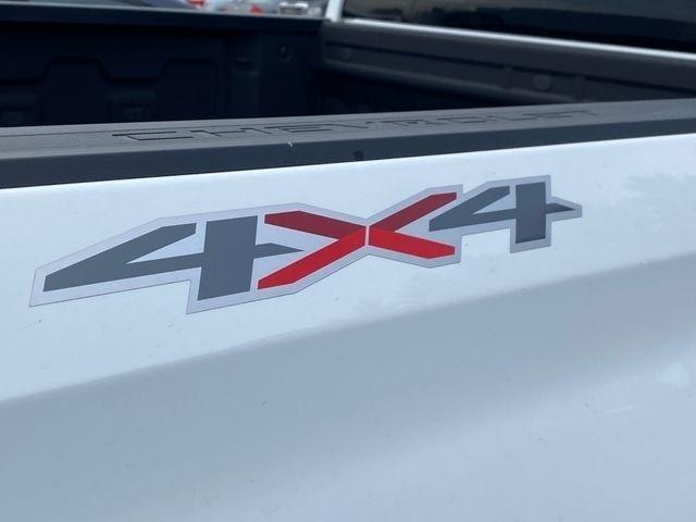 Chevrolet Silverado 1500 Custom Crew Cab Long Box 4WD 2020