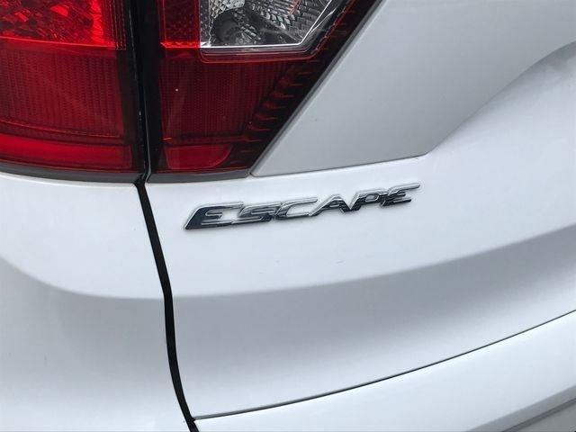 Ford Escape SEL 4WD 2019