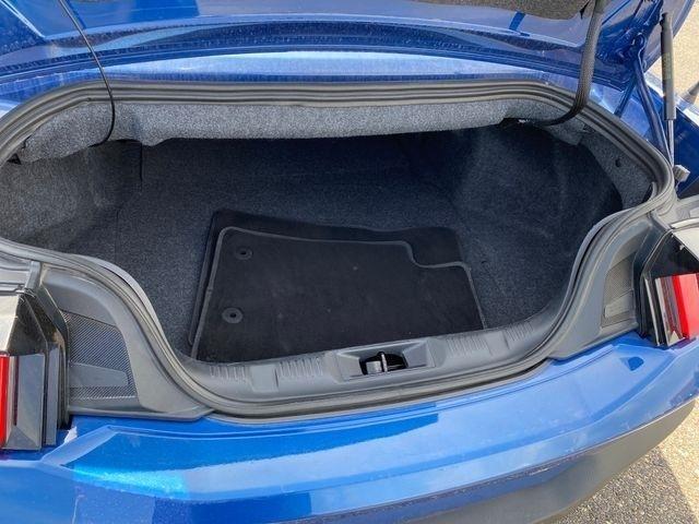 Ford Mustang EcoBoost Premium Convertible 2024