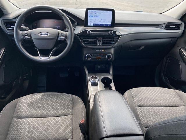 Ford Escape Active 2024