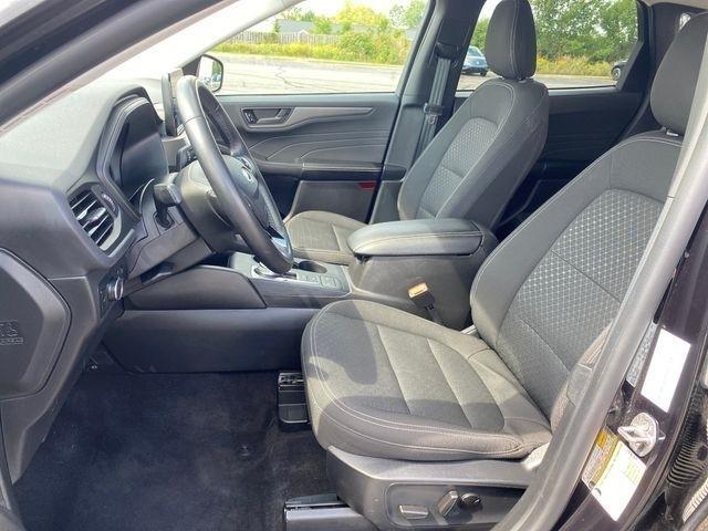 Ford Escape Active 2024