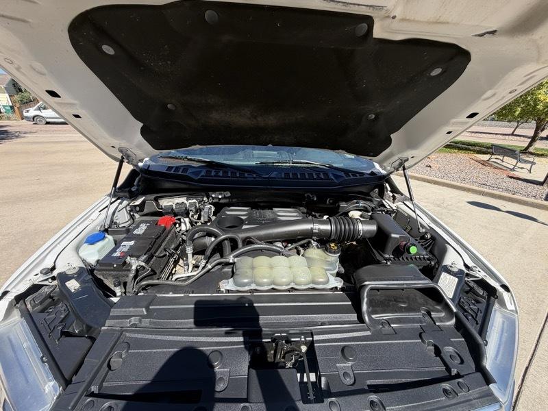 Ford F-150 XL SuperCrew 6.5-ft. Bed 4WD 2020