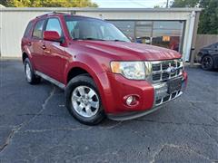 2010 Ford Escape 