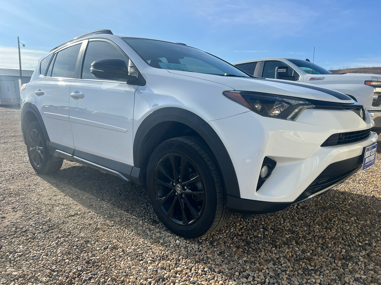 2018 Toyota RAV4 Adventure photo 4