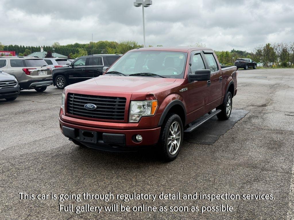 Ford F-150 4WD SuperCrew 145" Platinum 2014