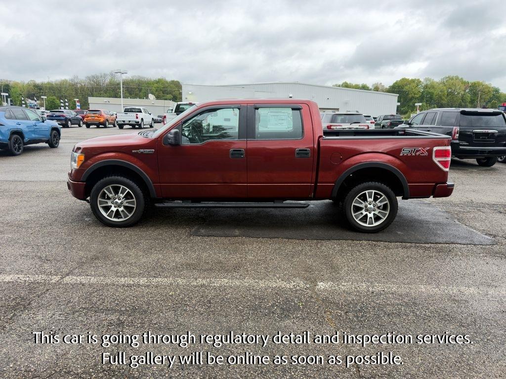 Ford F-150 4WD SuperCrew 145" Platinum 2014