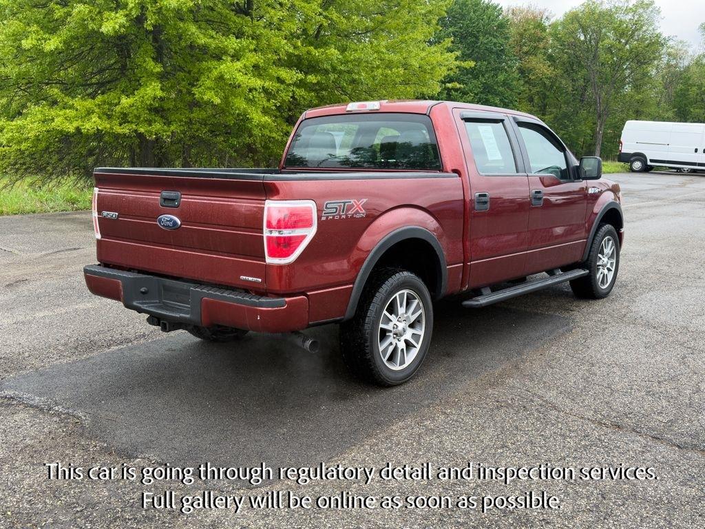 Ford F-150 4WD SuperCrew 145" Platinum 2014