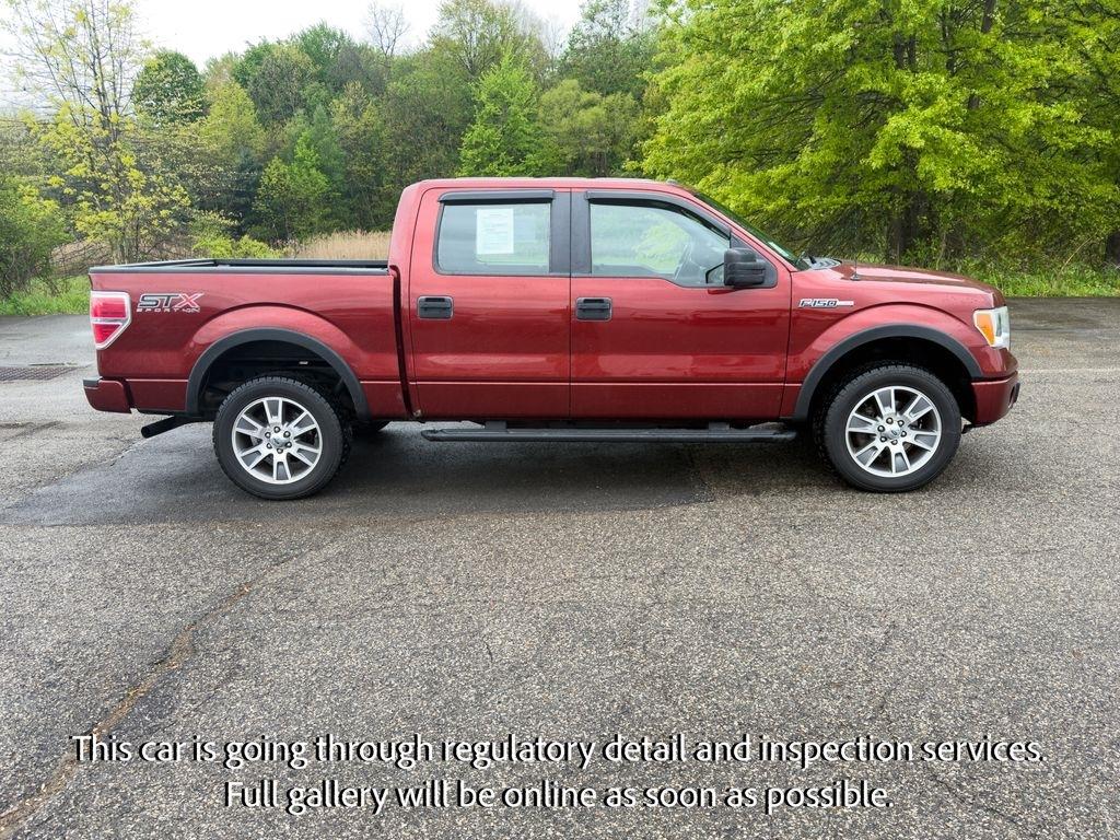 Ford F-150 4WD SuperCrew 145" Platinum 2014