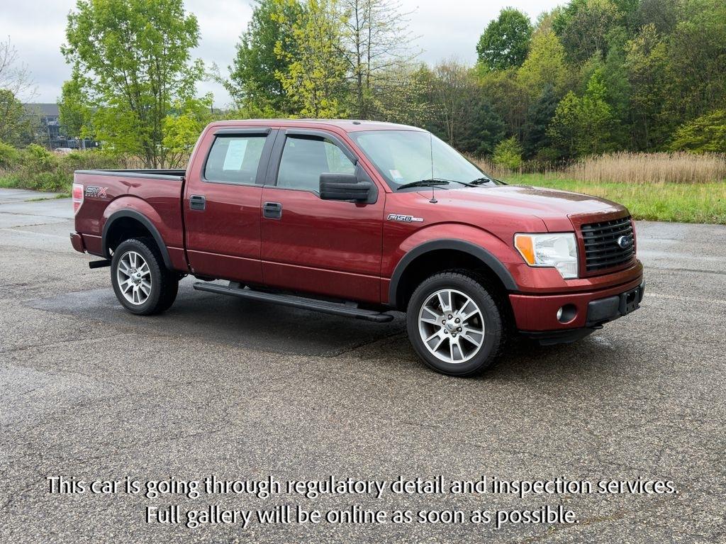 Ford F-150 4WD SuperCrew 145" Platinum 2014