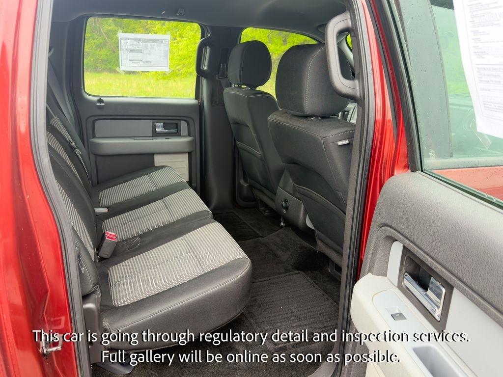 Ford F-150 4WD SuperCrew 145" Platinum 2014