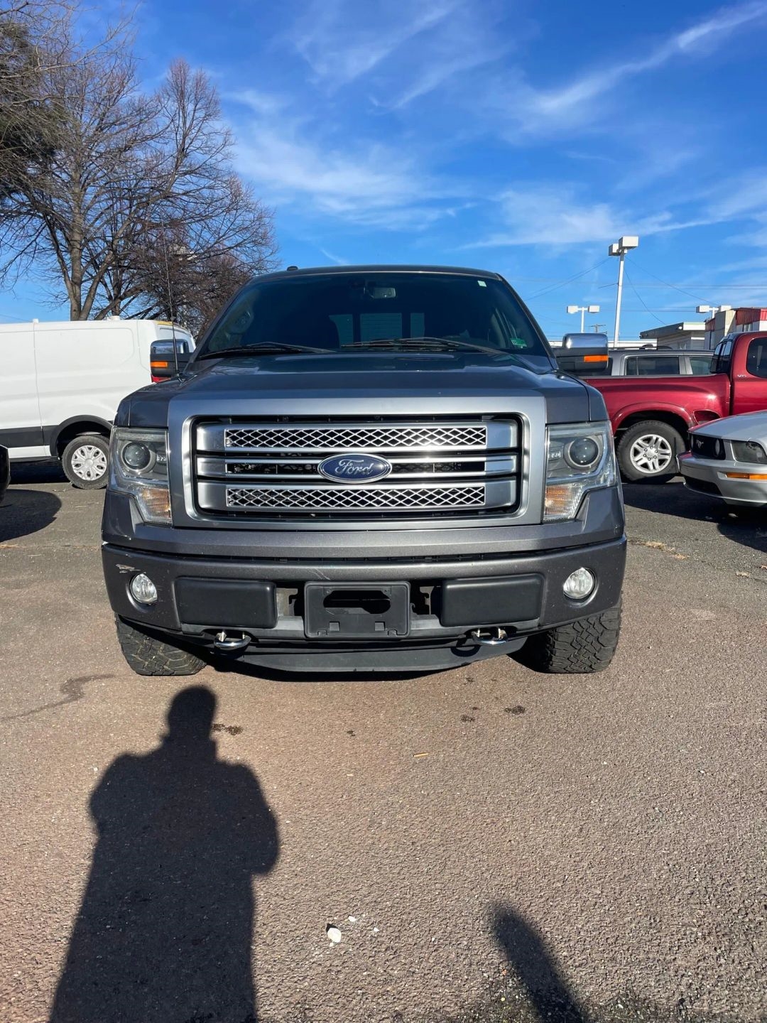Ford F-150 4WD SuperCrew 145" Platinum 2013