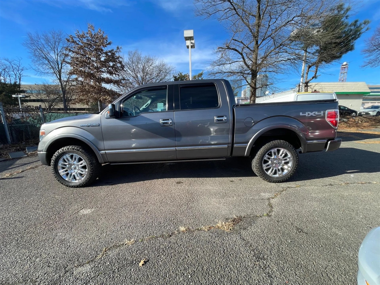 Ford F-150 4WD SuperCrew 145" Platinum 2013