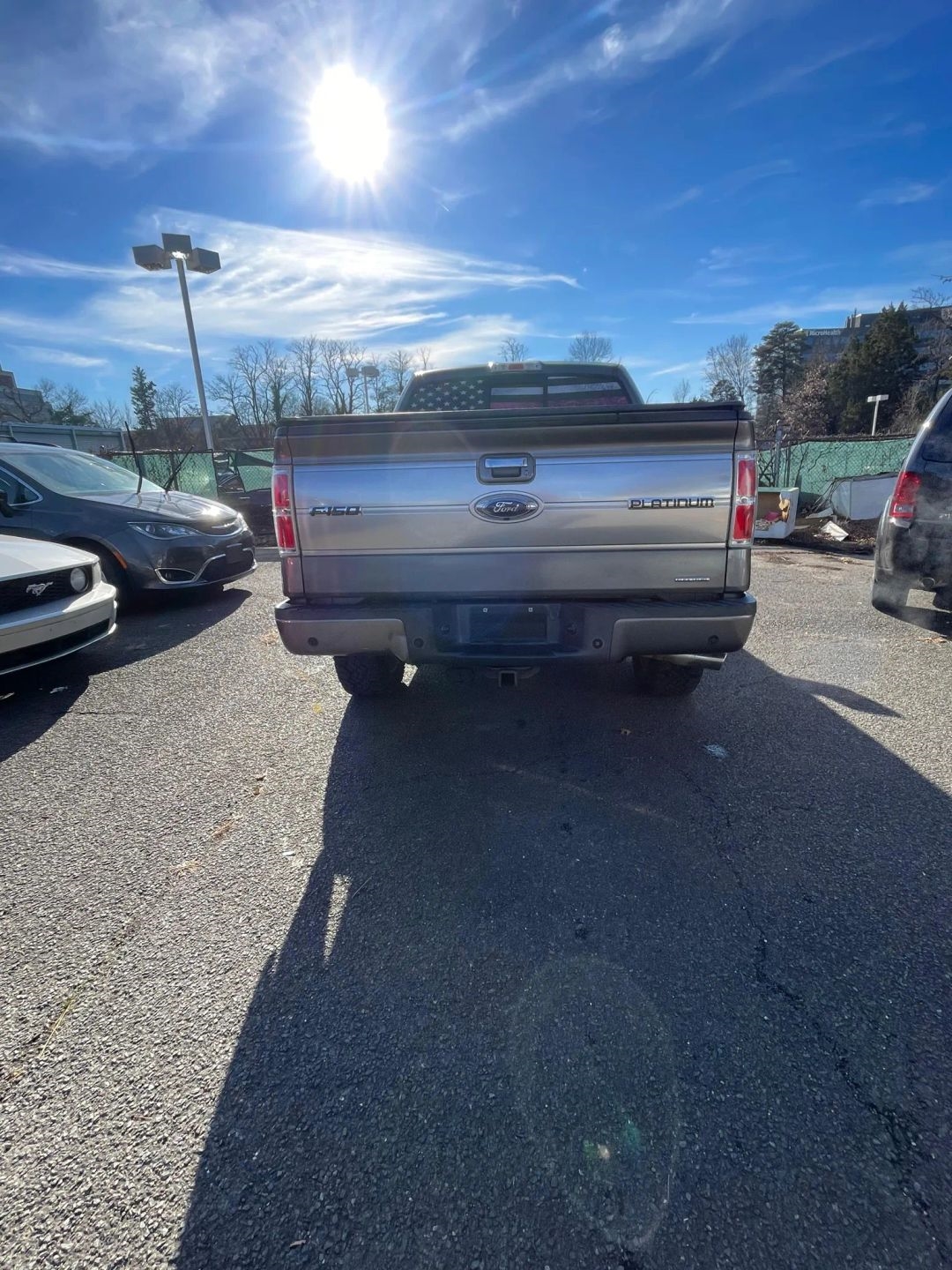 Ford F-150 4WD SuperCrew 145" Platinum 2013