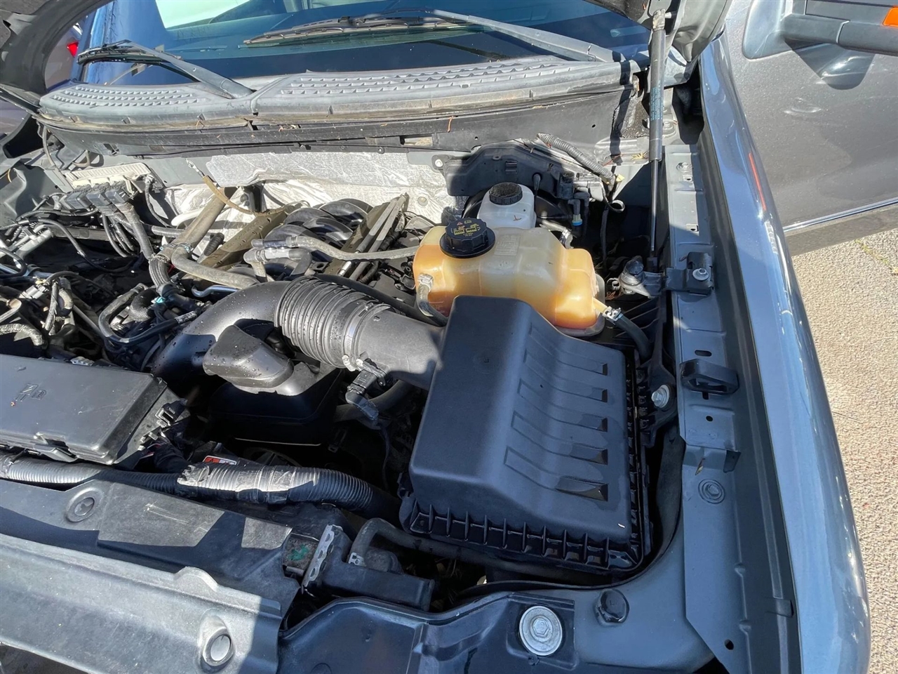 Ford F-150 4WD SuperCrew 145" Platinum 2013