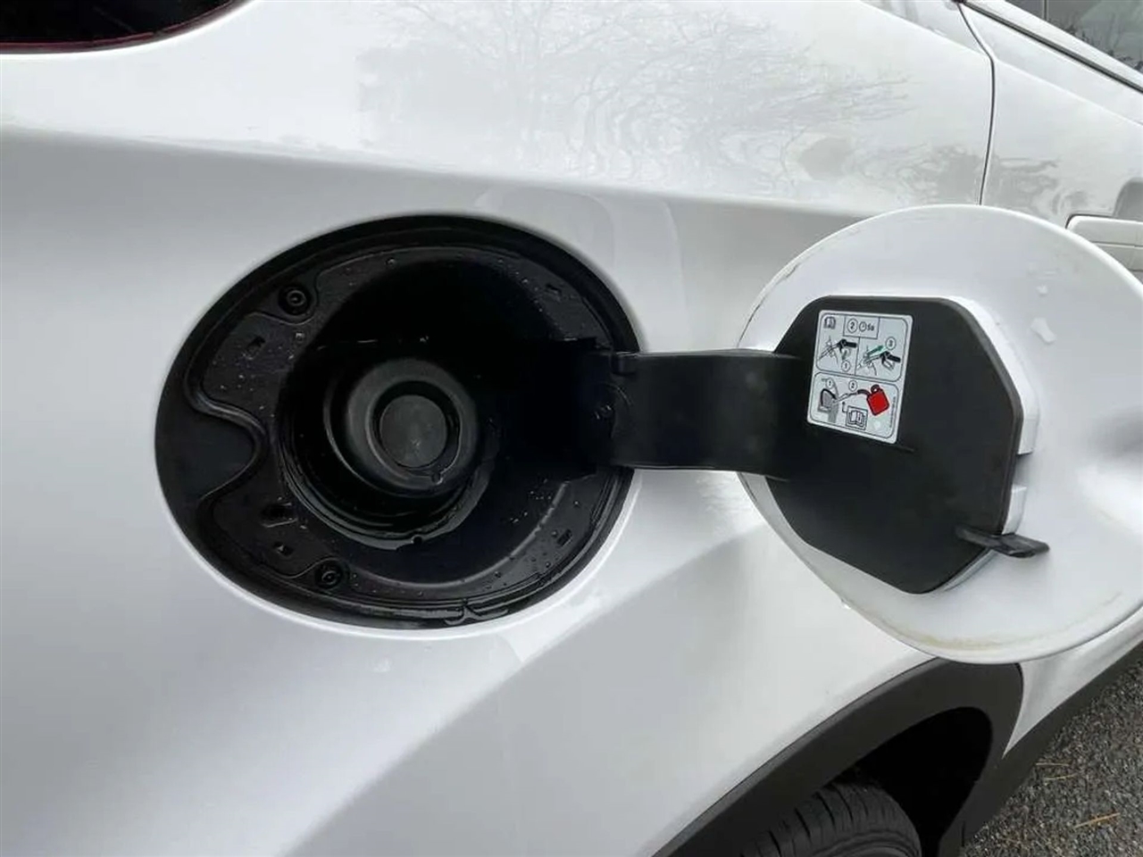 Ford Escape SE 4WD 2019