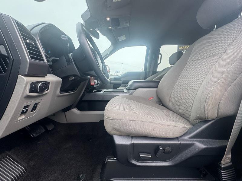 Ford F-150 XLT SuperCrew 6.5-ft. Bed 4WD 2020