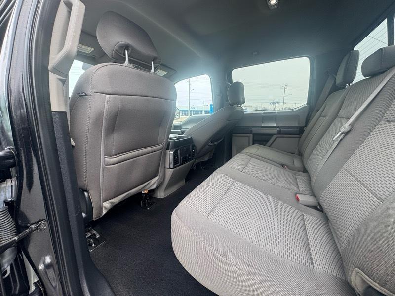 Ford F-150 XLT SuperCrew 6.5-ft. Bed 4WD 2020