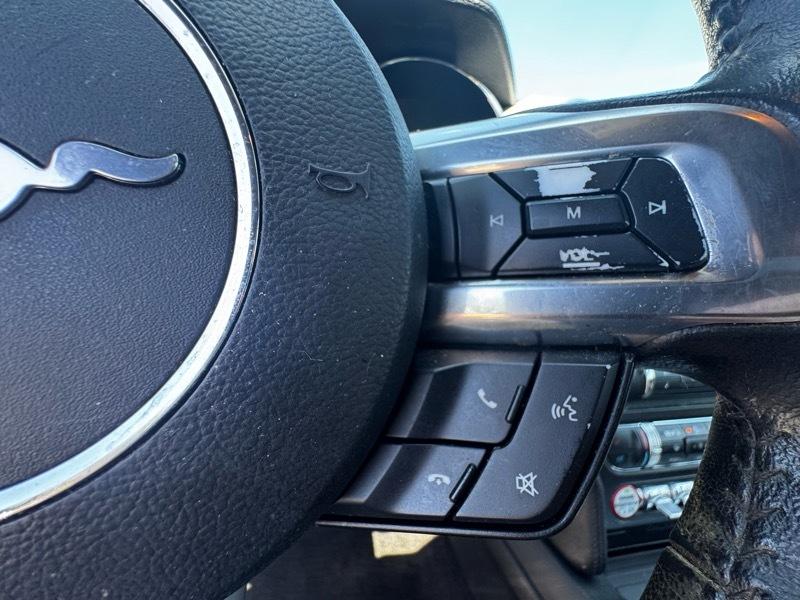 Ford Mustang EcoBoost Coupe 2015