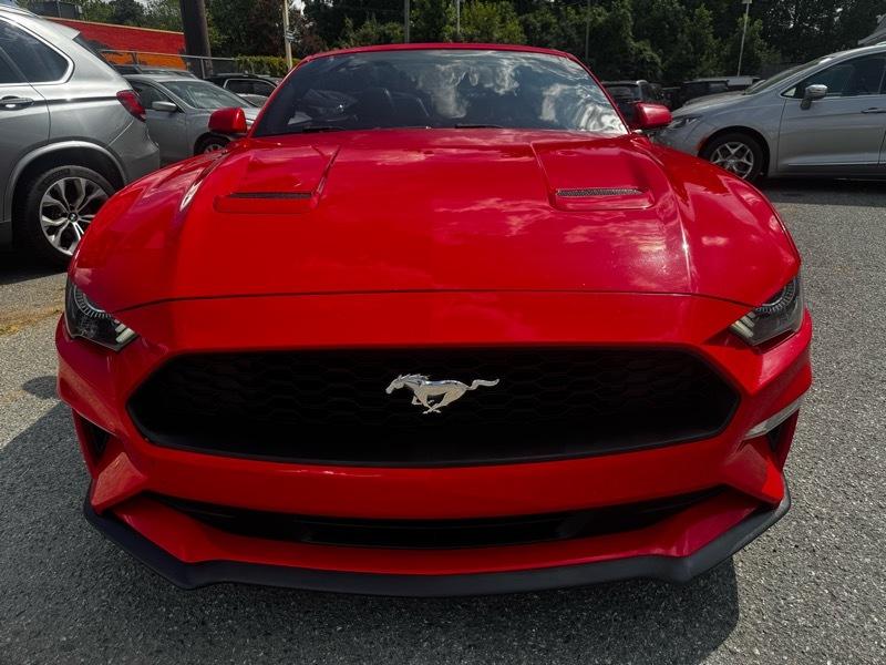 Ford Mustang EcoBoost Premium Convertible 2020