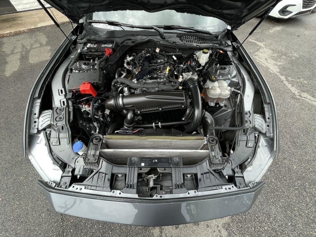 Ford Mustang EcoBoost Coupe 2024