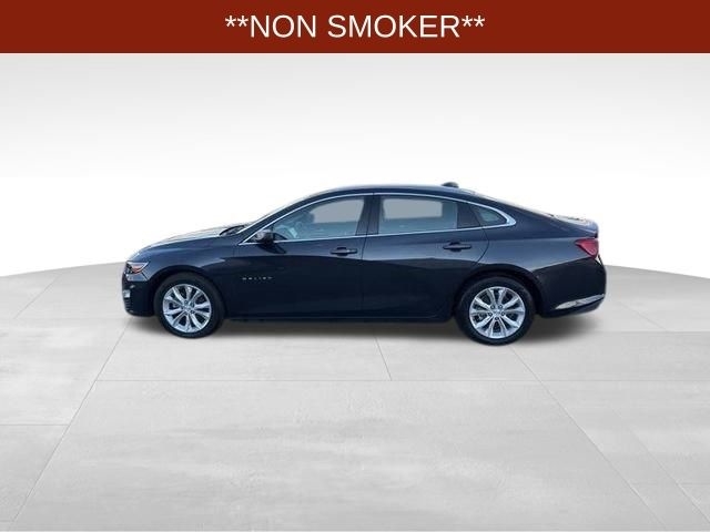 Chevrolet Malibu  2023