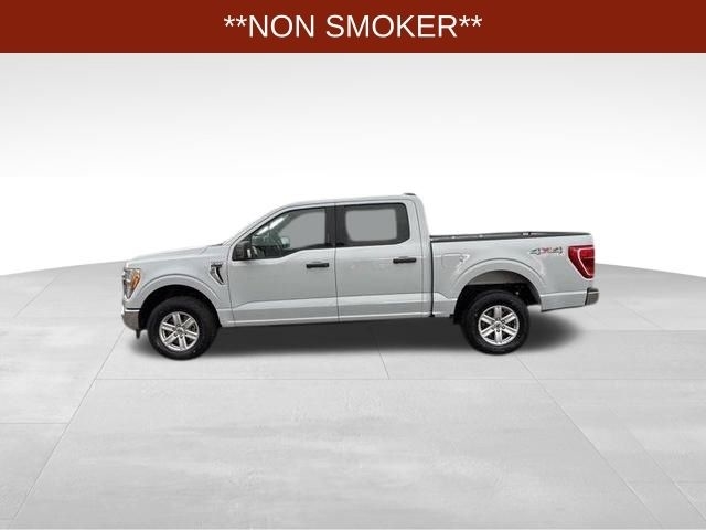 Ford F-150 XLT SuperCrew 6.5-ft. Bed 2WD 2021