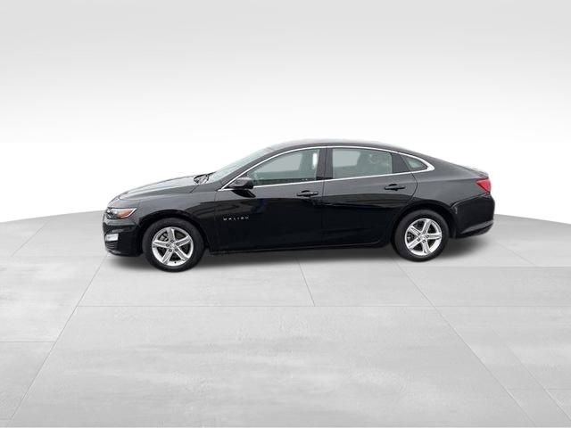 Chevrolet Malibu 1LT 2023