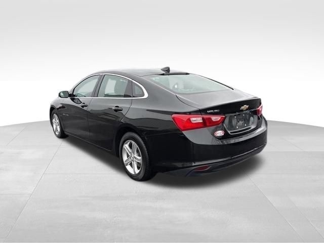 Chevrolet Malibu 1LT 2023