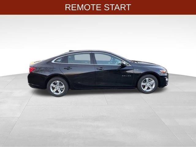 Chevrolet Malibu 1FL 2022