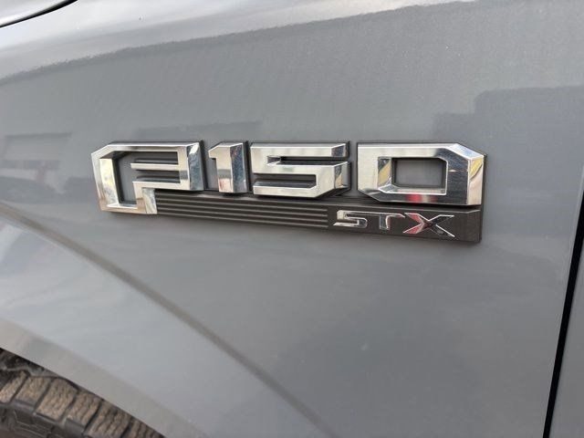 Ford F-150 XL SuperCrew 5.5-ft. Bed 4WD 2019