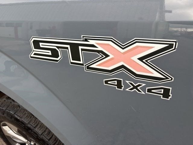 Ford F-150 XL SuperCrew 5.5-ft. Bed 4WD 2019