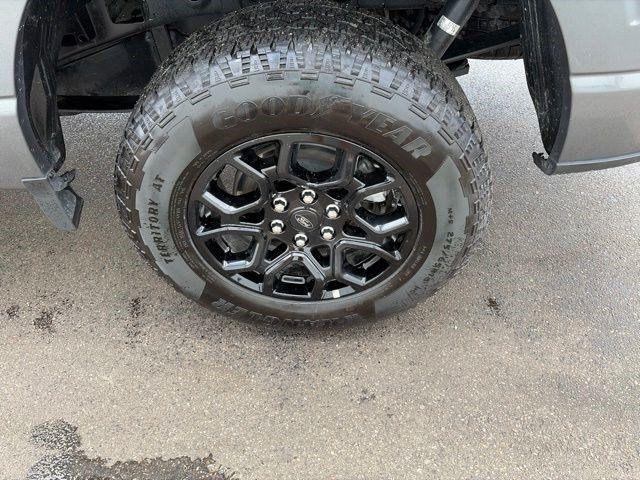 Ford F-150 STX SuperCrew 4WD 2025