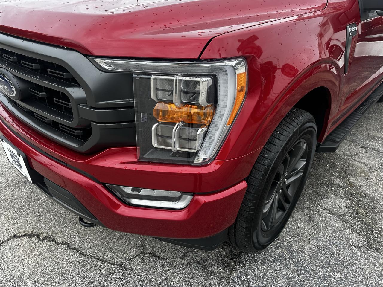 Ford F-150 XLT SuperCrew 5.5-ft. Bed 4WD 2021