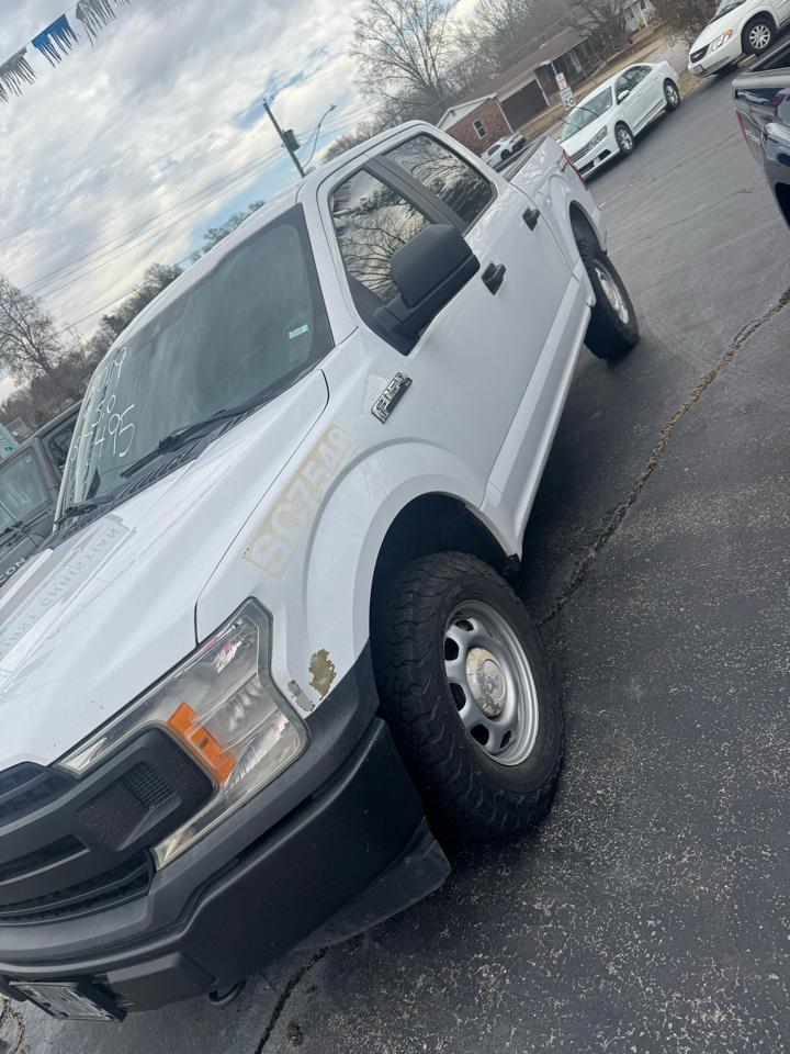 Ford F-150 XL SuperCrew 5.5-ft. Bed 4WD 2019