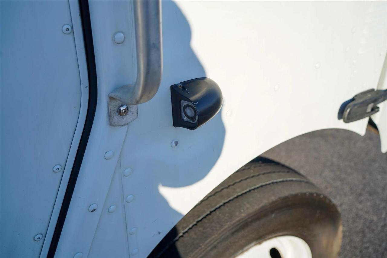 Ford Stripped Chassis  2021