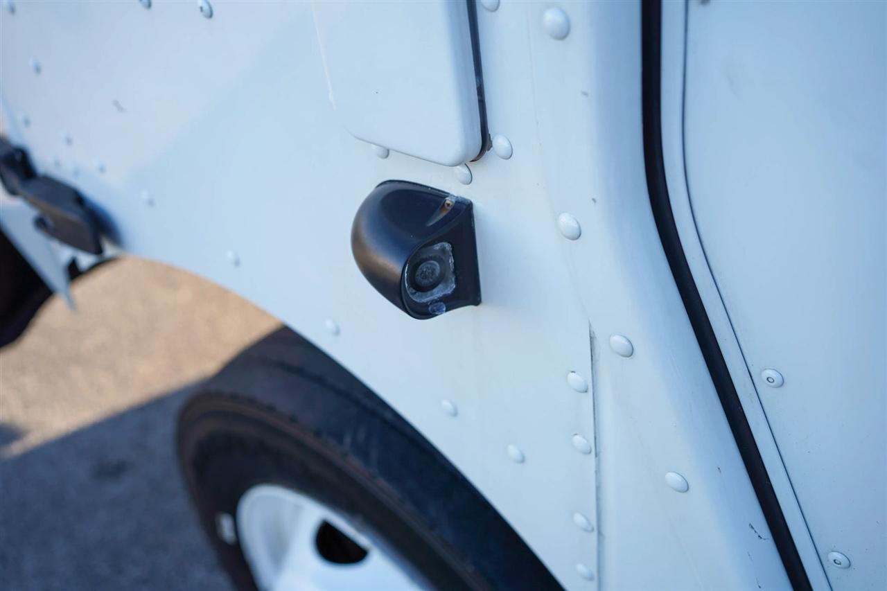 Ford Stripped Chassis  2021