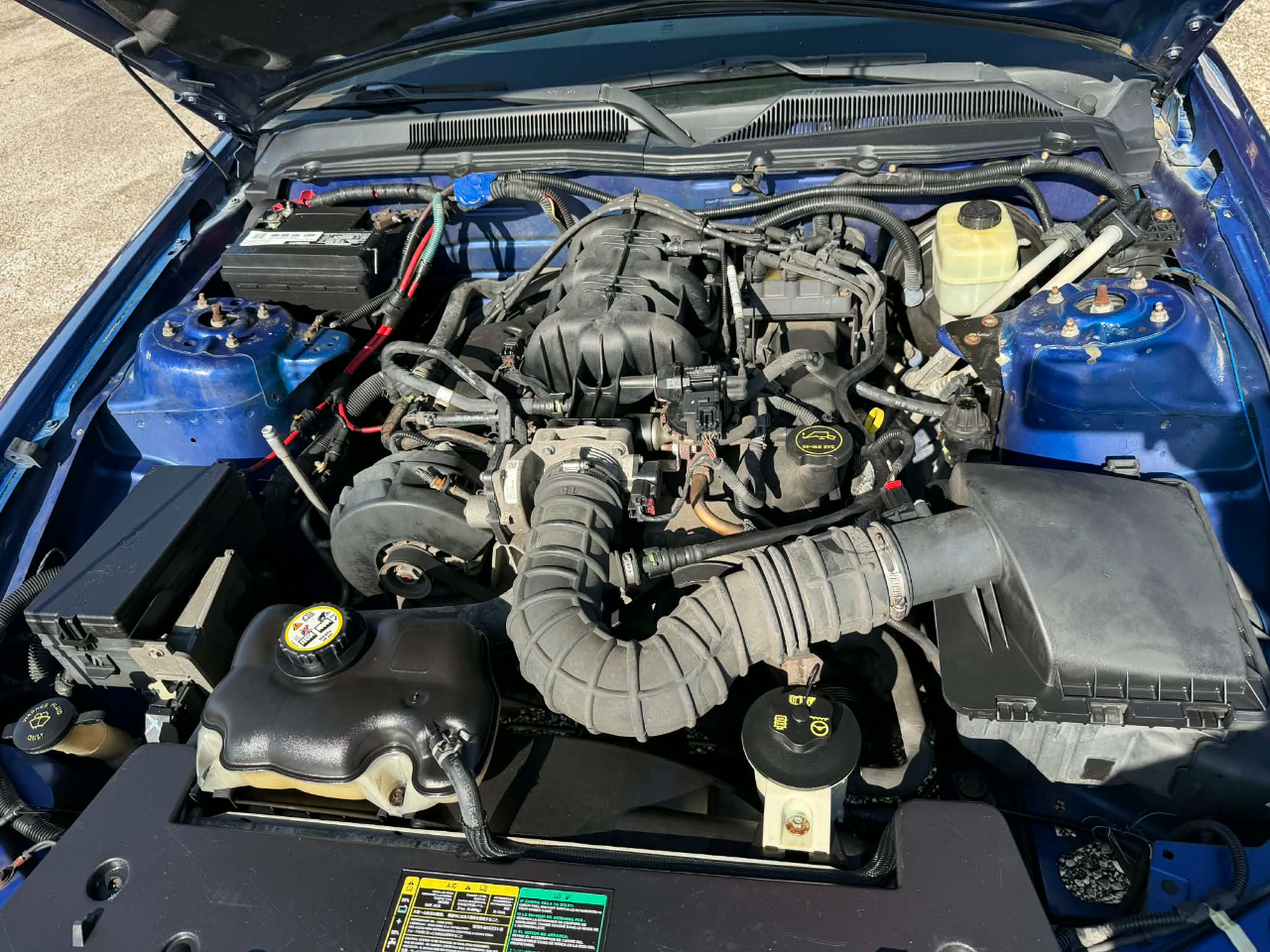 Ford Mustang V6 Deluxe Convertible 2005